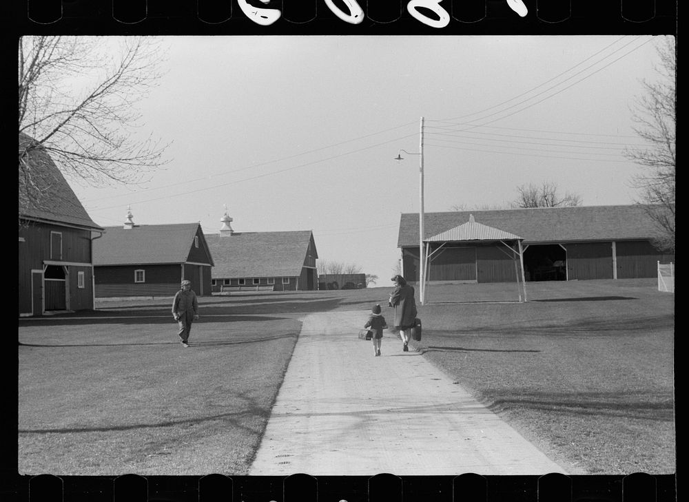 Fred Coulter's children coming home from school, Grundy County, Iowa. Sourced from the Library of Congress.