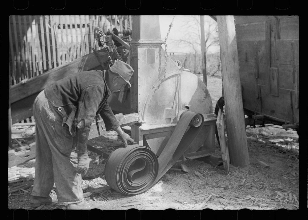 Winding up belt which extended from tractor to operate corn grinder, Grundy County, Iowa. Sourced from the Library of…