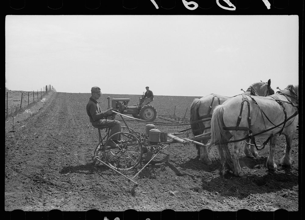 Harrowing land and planting corn, Free Photo rawpixel