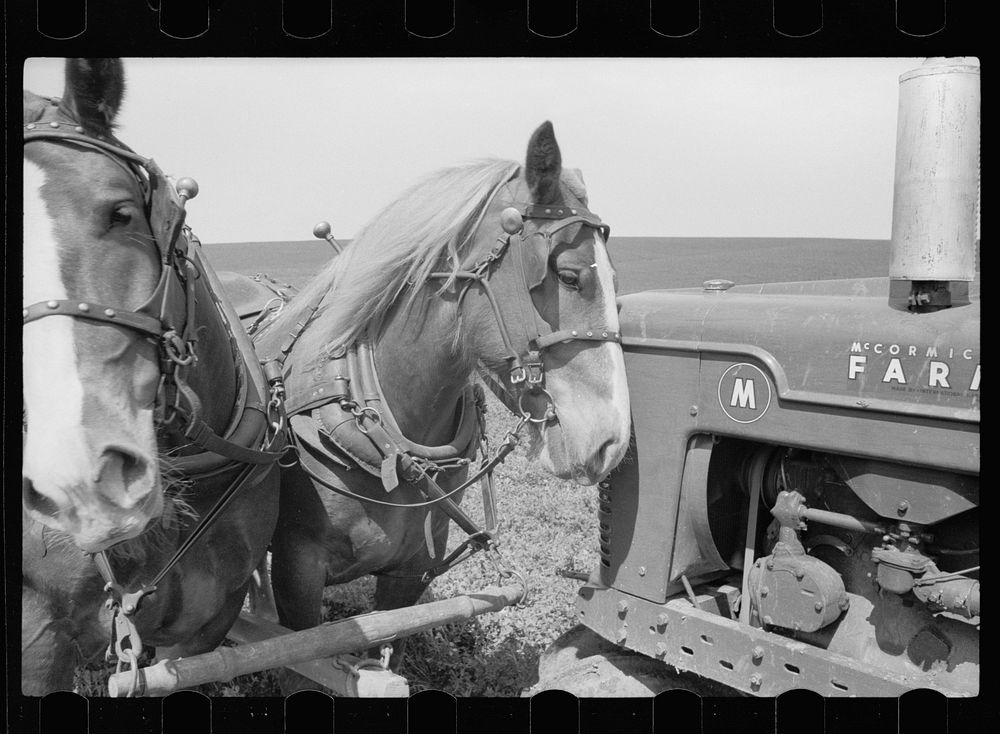 [Untitled photo, possibly related to: Horse and tractor, Jasper county, Iowa]. Sourced from the Library of Congress.