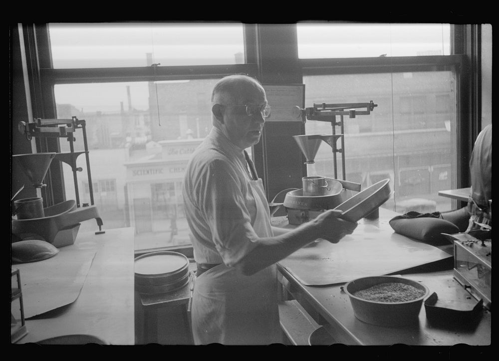 [Untitled photo, possibly related to: Grain inspector at state grain inspection deptartment, Minneapolis, Minnesota].…
