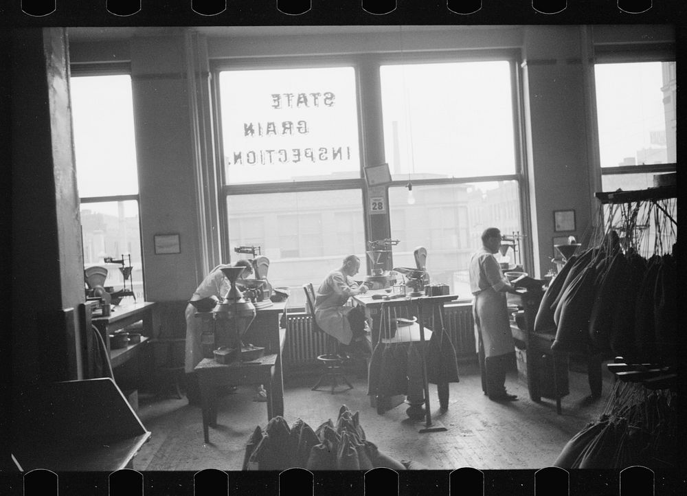 [Untitled photo, possibly related to: Licensed grain inspector testing wheat for impurities, Minneapolis, Minnesota].…