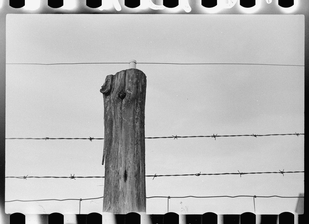 Electrified barbed wire fence, Louisa County, Virginia. Sourced from the Library of Congress.