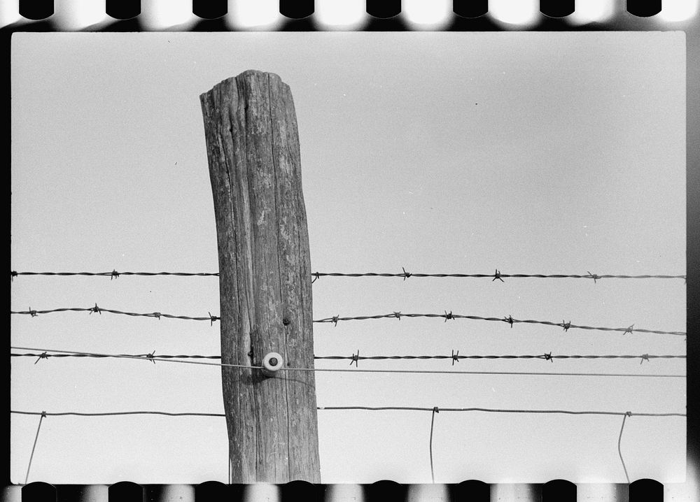 [Untitled photo, possibly related to: Electrified barbed wire fence, Louisa County, Virginia]. Sourced from the Library of…
