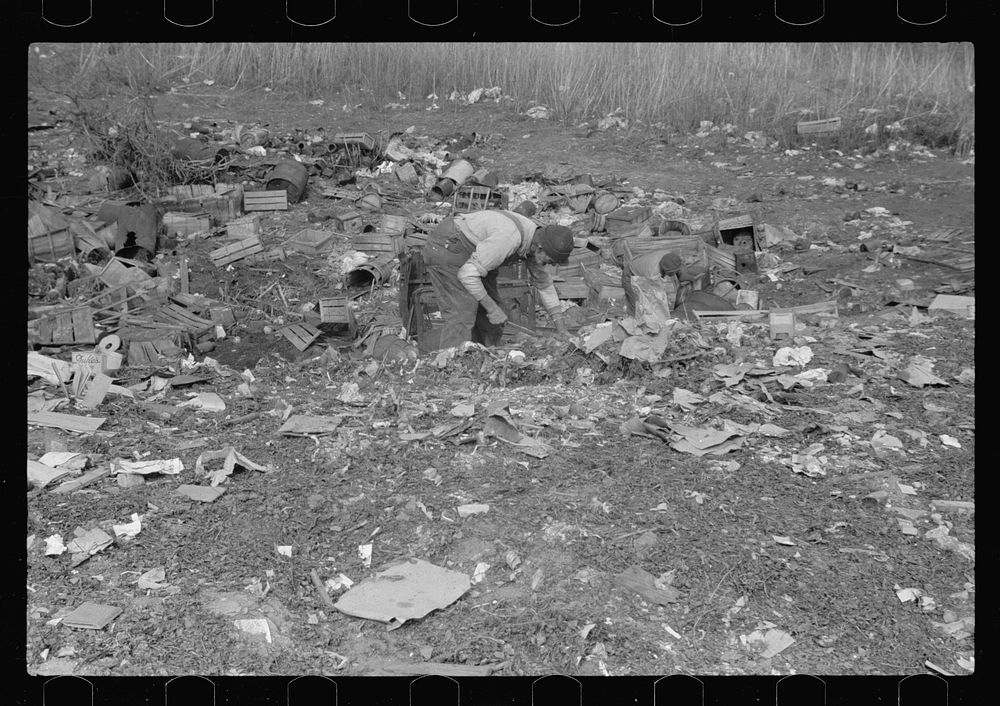 Scavenging city dump, Dubuque, Iowa. Free Photo rawpixel