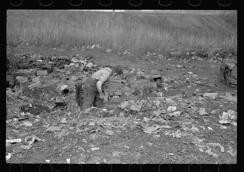 [Untitled photo, possibly related to: Foraging for food, city dump, Dubuque, Iowa. Produce houses dump apples, grapefruit…