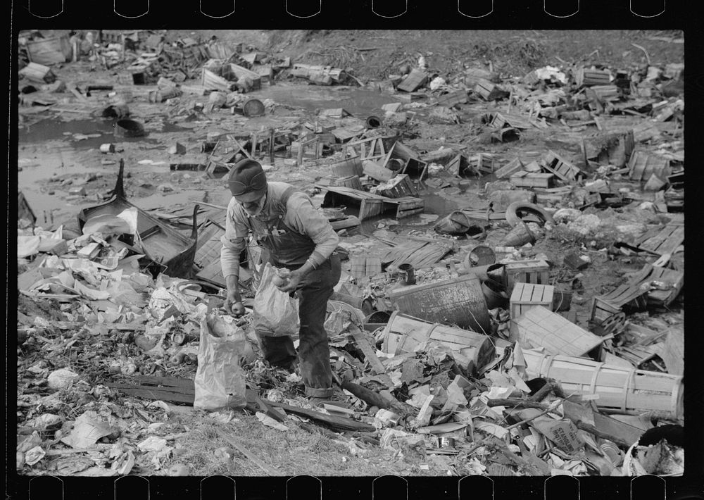 Foraging for food in the city dump, Dubuque, Iowa. Sourced from the Library of Congress.