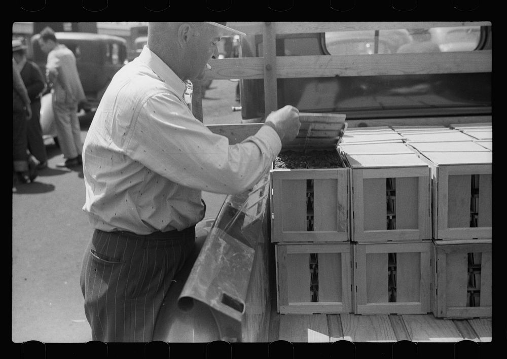 [Untitled photo, possibly related to: Buyer examining cherries in fruit market, Benton Harbor, Michigan]. Sourced from the…