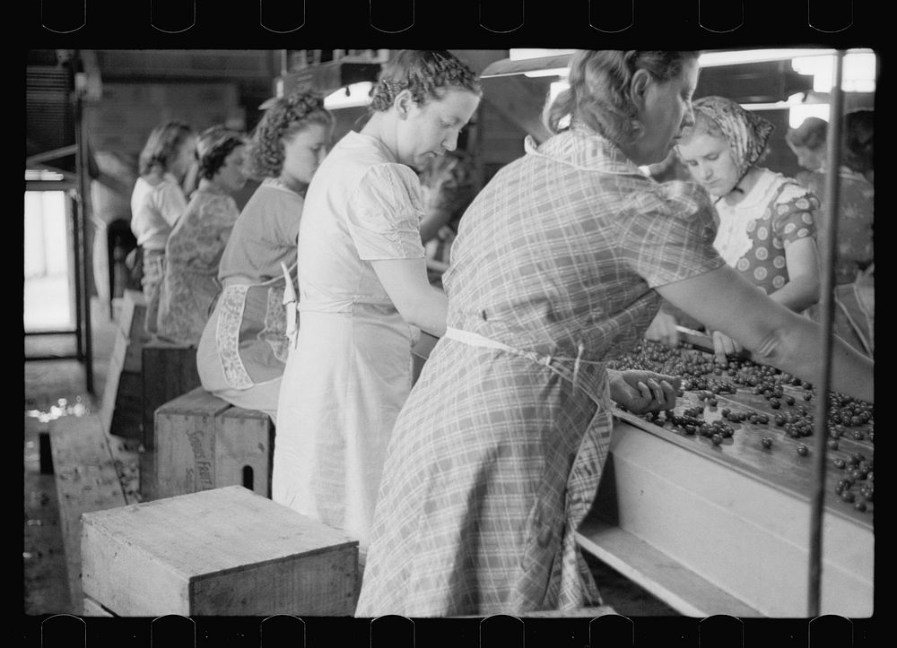 [Untitled photo, possibly related to: Migrant girls working in cherry canning plant, Berrien County, Mich.]. Sourced from…