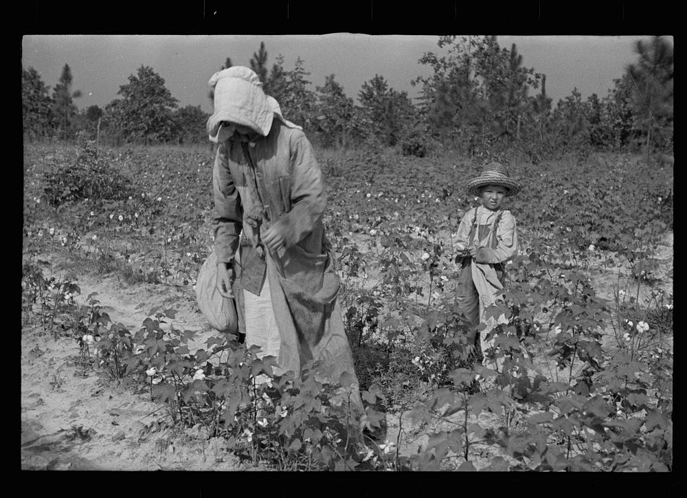 [Untitled photo, possibly related to: Son of a cotton sharecropper, Lauderdale County, Mississippi]. Sourced from the…