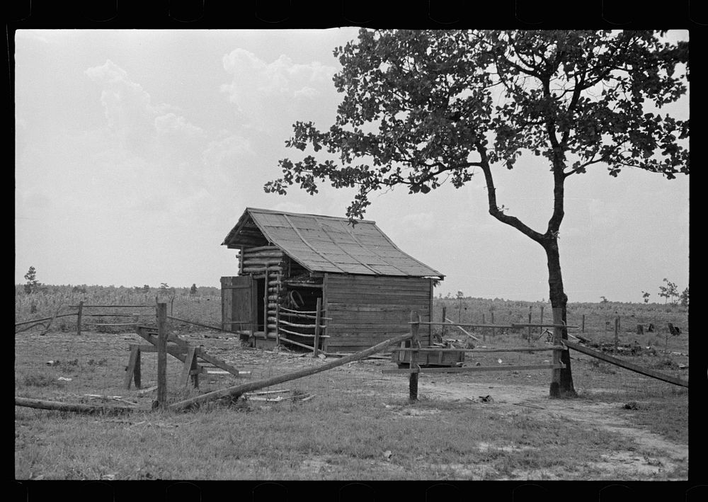 Barn on sharecropper's farm, Lauderdale County, Mississippi. Sourced from the Library of Congress.