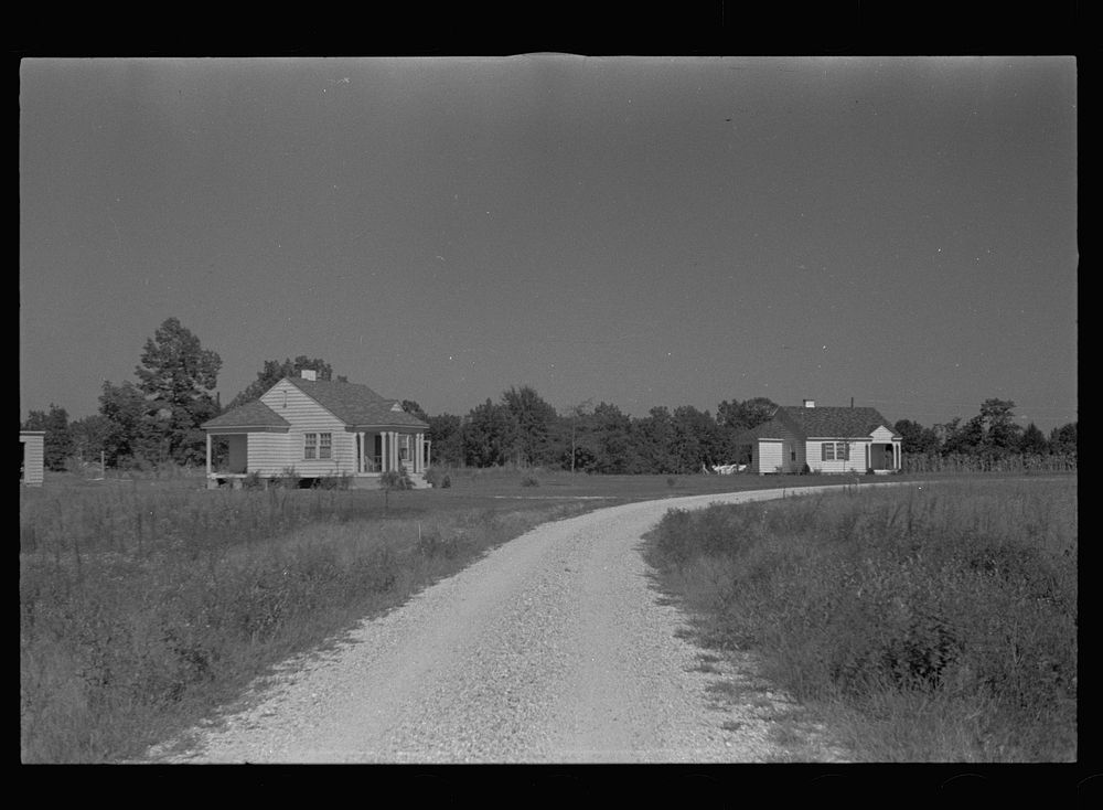 [Untitled photo, possibly related to: House at Tupelo Homesteads, Mississippi]. Sourced from the Library of Congress.