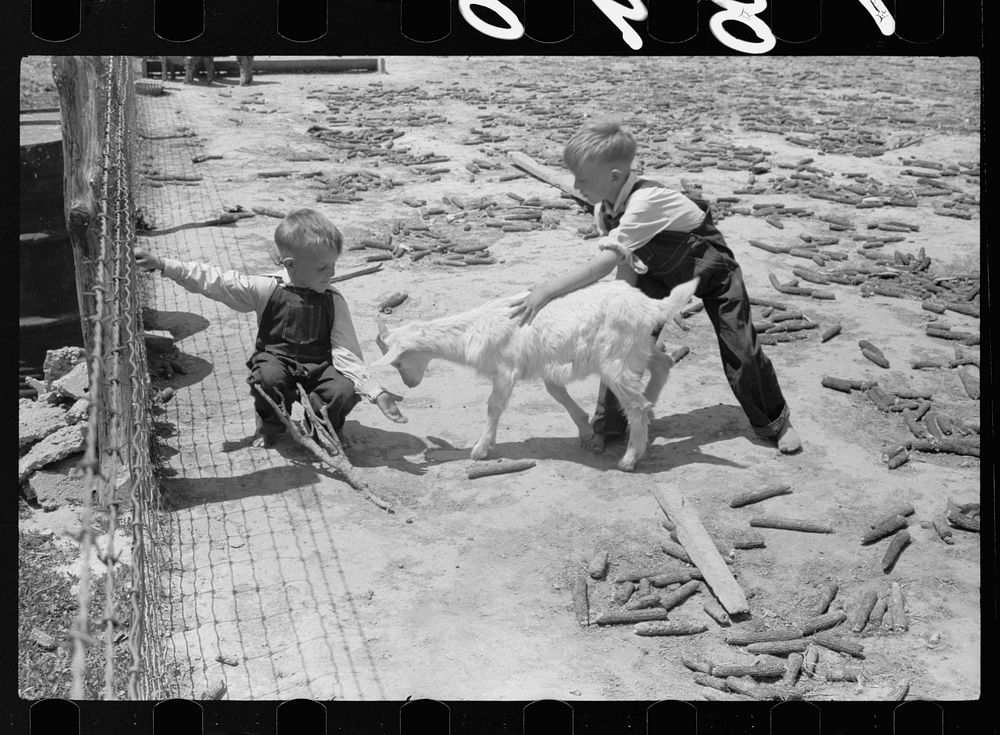 Children of FSA (Farm Security Administration) tenant purchase borrower with pet goat, Crawford County, Illinois. Sourced…
