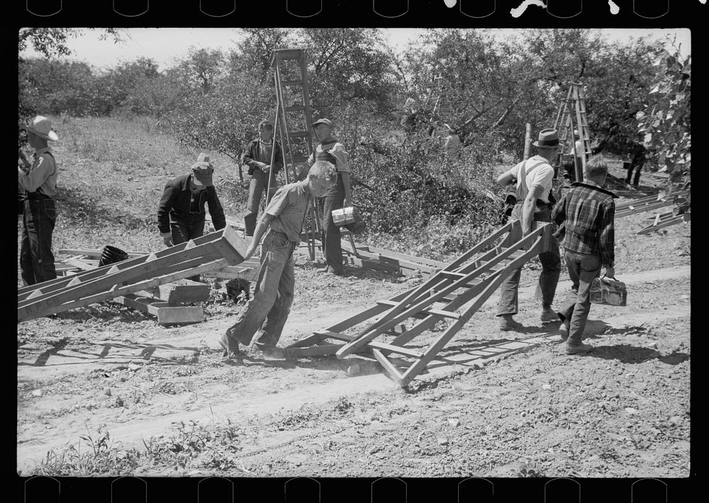 Cherry pickers, Door County, Wisconsin. Sourced from the Library of Congress.