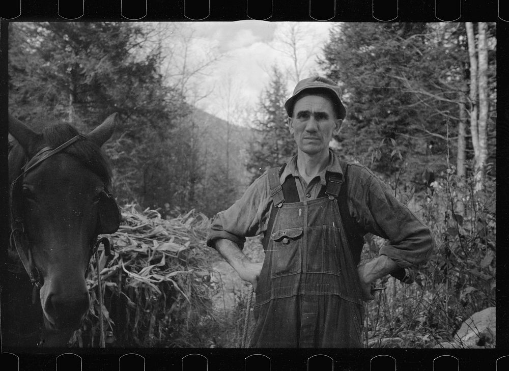 [Untitled photo, possibly related to: Man from Nicholson Hollow with one of the few horses, Shenandoah National Park…