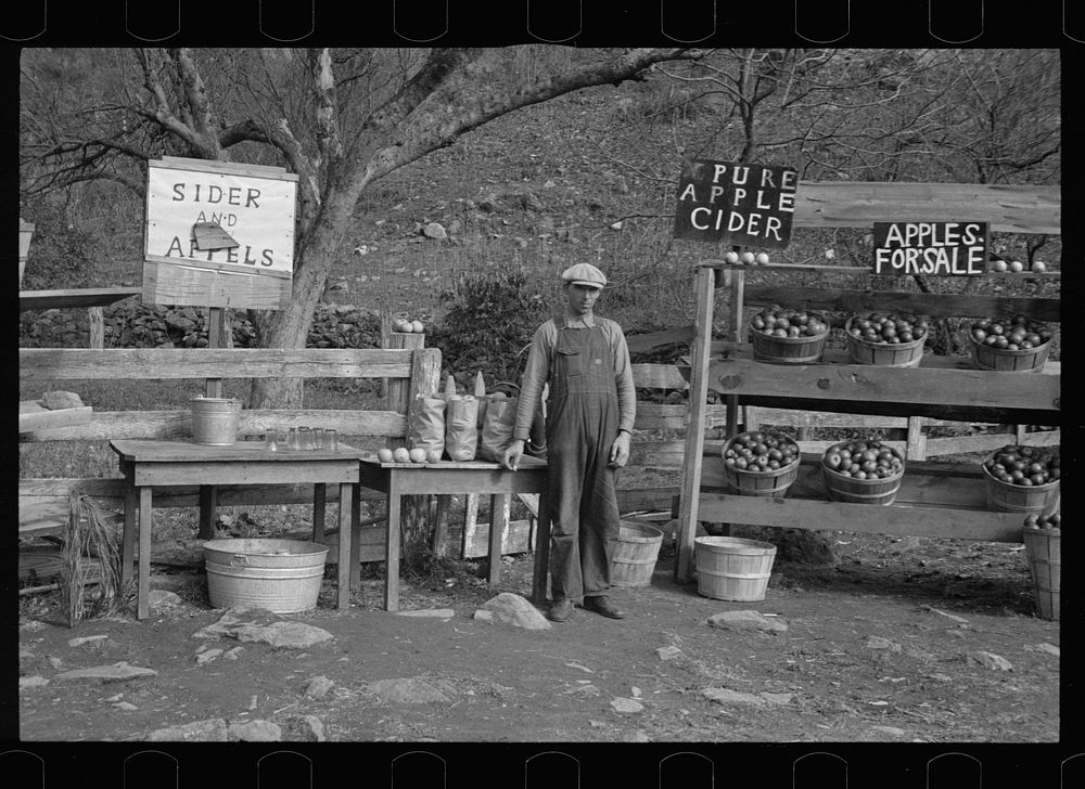 A cider and apple stand on the Lee Highway, Shenandoah National Park, Virginia. Sourced from the Library of Congress.