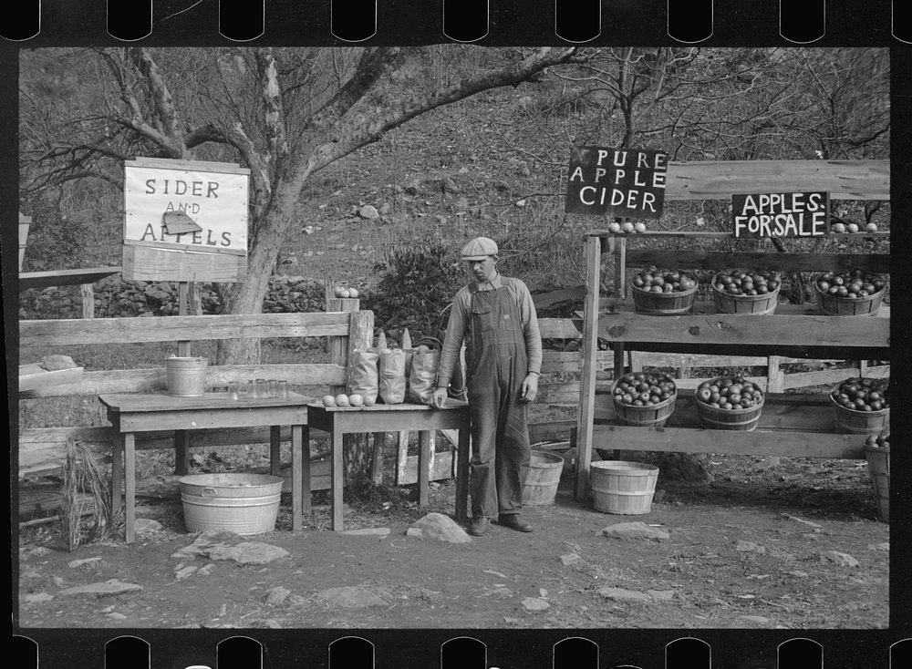 [Untitled photo, possibly related to: A cider and apple stand on the Lee Highway, Shenandoah National Park, Virginia].…