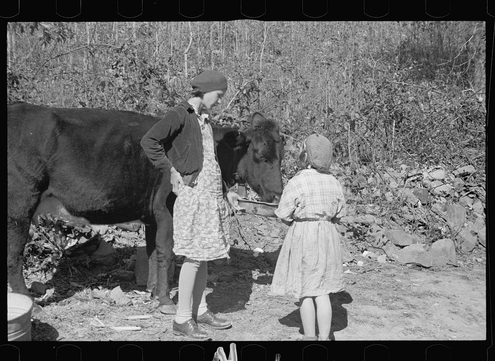 [Untitled photo, possibly related to: Two of the Nicholson children and their only cow, Shenandoah National Park, Virginia].…