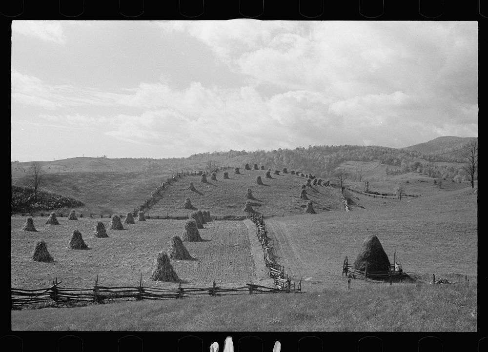 Fields near Sperryville, Virginia. Sourced from the Library of Congress.