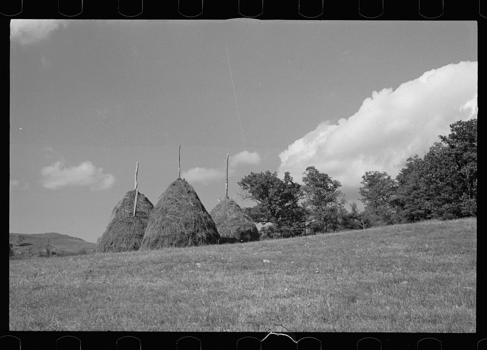 [Untitled photo, possibly related to: Fields near Sperryville, Virginia]. Sourced from the Library of Congress.