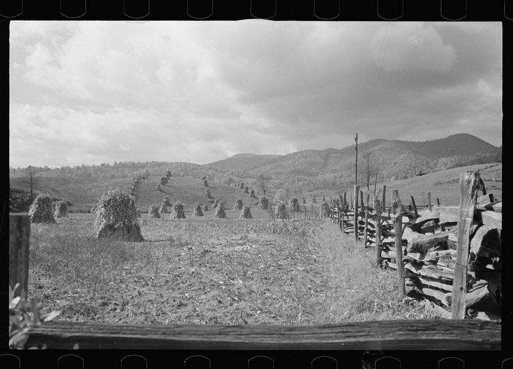 [Untitled photo, possibly related to: Fields near Sperryville, Virginia]. Sourced from the Library of Congress.