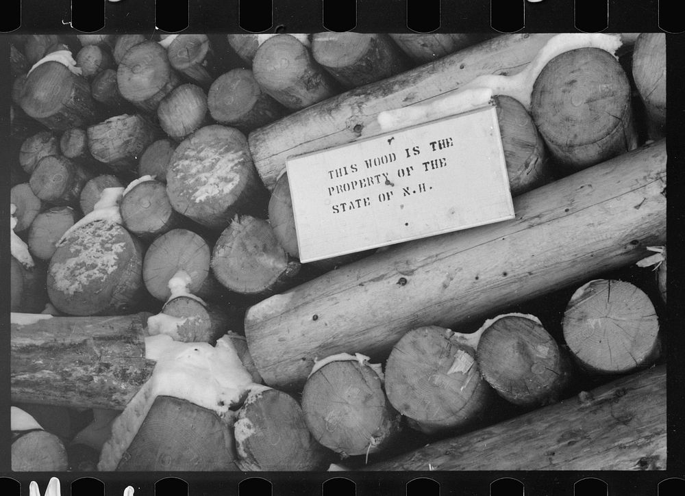 Pulpwood cut by cooperative farmers' organization, Groveton, New Hampshire. Sourced from the Library of Congress.