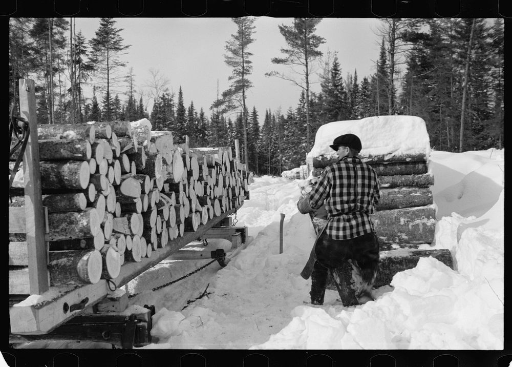 [Untitled photo, possibly related to: Loading pulpwood on sled for transportation to paper mill, Coos County, New…