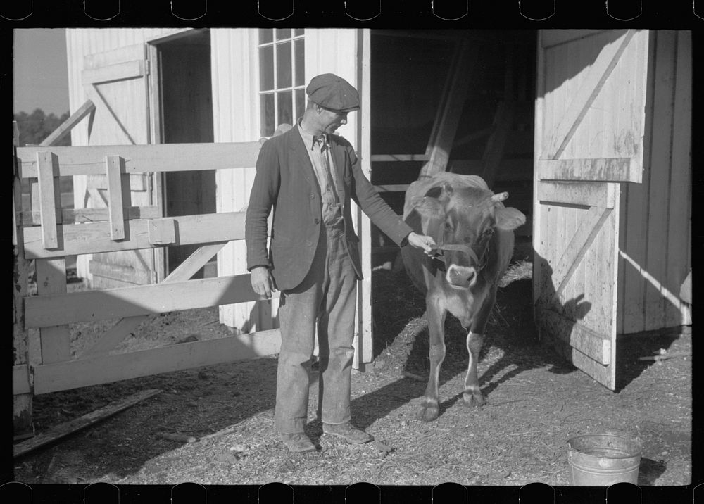 [Untitled photo, possibly related to: Zeb Atkinson, homesteader, Penderlea Farms, North Carolina]. Sourced from the Library…
