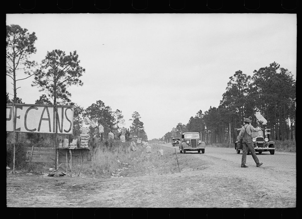  boy selling pecans near Alma, Georgia. Sourced from the Library of Congress.