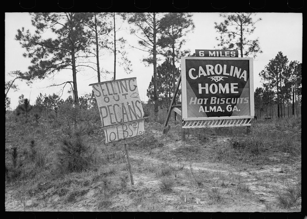 Road sign near pecan stand, Alma, Georgia. Sourced from the Library of Congress.