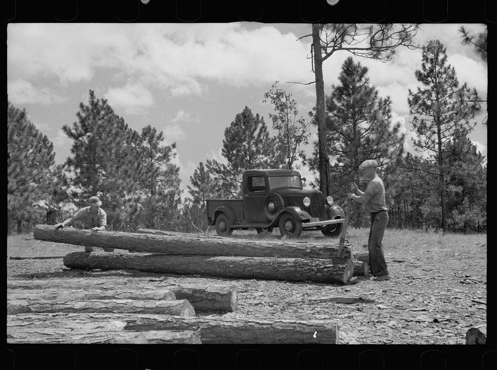 [Untitled photo, possibly related to: Wife and children of tenant farmer who has been resettled, Irwin County, Georgia].…