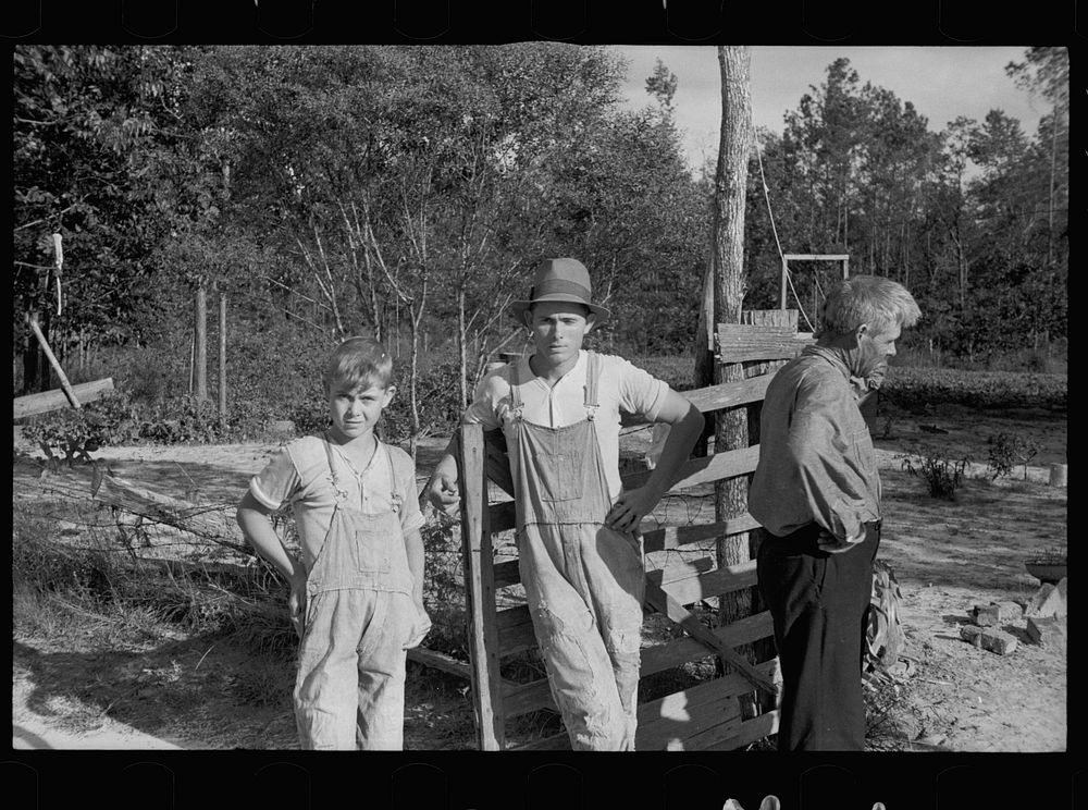 [Untitled photo, possibly related to: Resettled farmer who has failed to cooperate with Wolf Creek Farm Project, Georgia].…