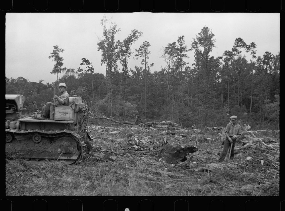 [Untitled photo, possibly related to: Tractor being used to clear land, Pender County, North Carolina]. Sourced from the…