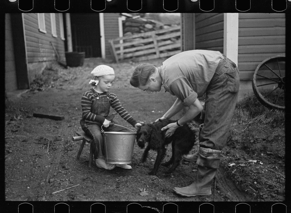 [Untitled photo, possibly related to: Vermont farmer]