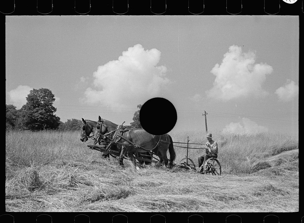 [Untitled photo, possibly related to: Cutting hay, Windsor County, Vermont]. Sourced from the Library of Congress.