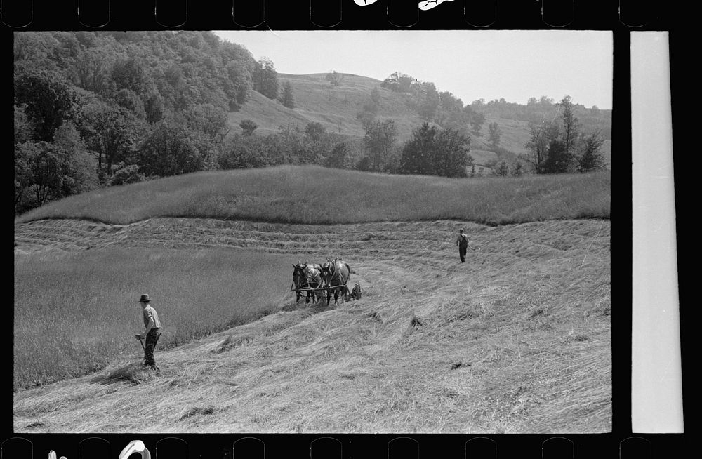 [Untitled photo, possibly related to: Cutting hay, Windsor County, Vermont]. Sourced from the Library of Congress.