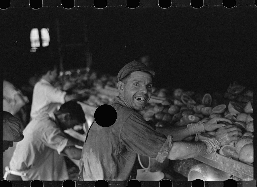 [Untitled photo, possibly related to: An employee of the grapefruit canning plant at Winter Haven, Florida]. Sourced from…