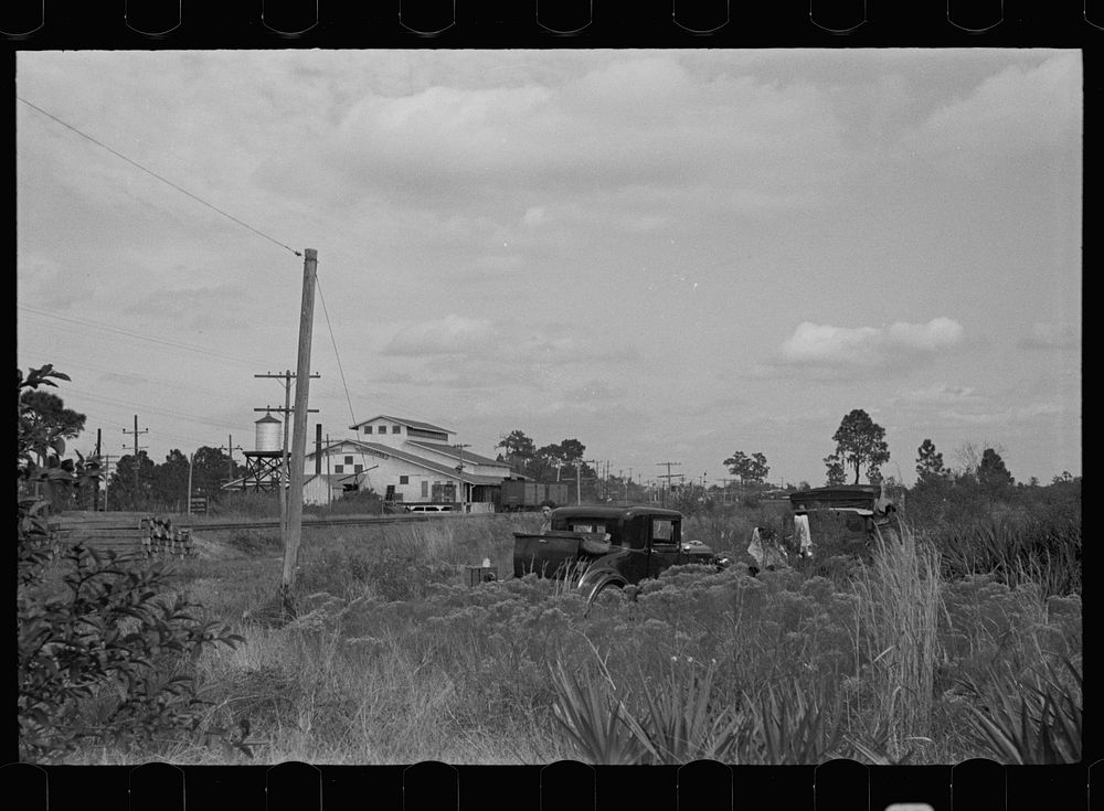 A migratory family camped near the citrus packing plant in Winter Haven, Florida. Sourced from the Library of Congress.