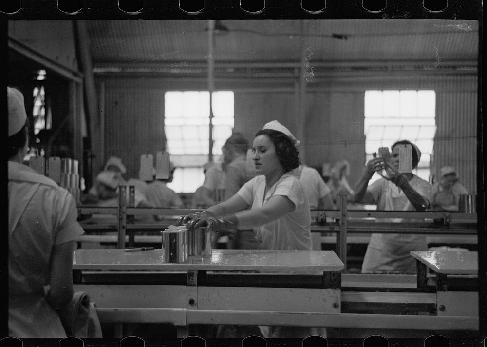 Sectioners at work canning grapefruit. About half of these girls are migrants. Winter Haven, Florida. Sourced from the…