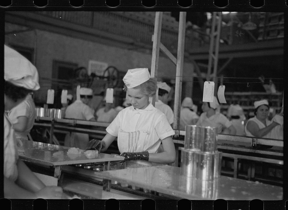 Sectioners at work canning grapefruit. About half of these girls are migrants. Winter Haven, Florida. Sourced from the…