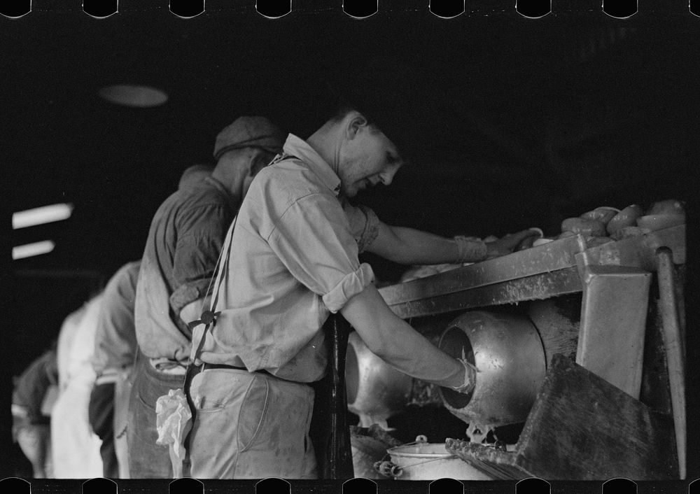 Juicers in the grapefruit canning plant at Winter Haven, Florida. Many of these men are migrants. Sourced from the Library…