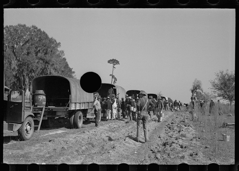 [Untitled photo, possibly related to: Trucks used in plant operations, Withlacoochee Land Use Project, Florida]. Sourced…
