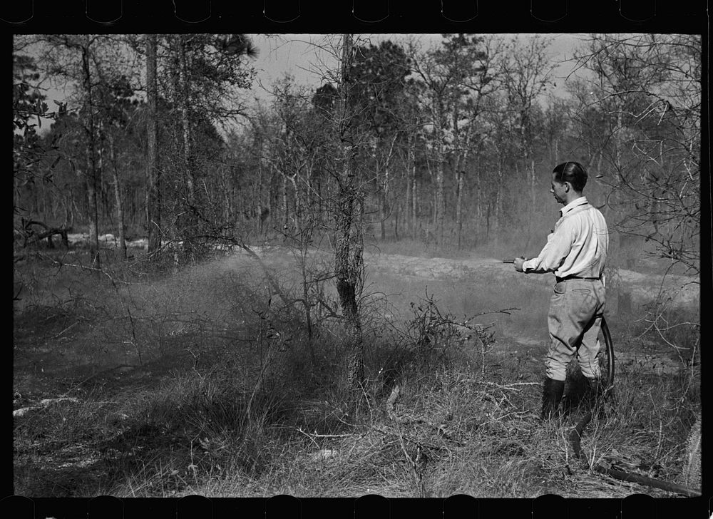 Putting out a small forest fire, Withlacoochee Land Use Project, Florida. Sourced from the Library of Congress.