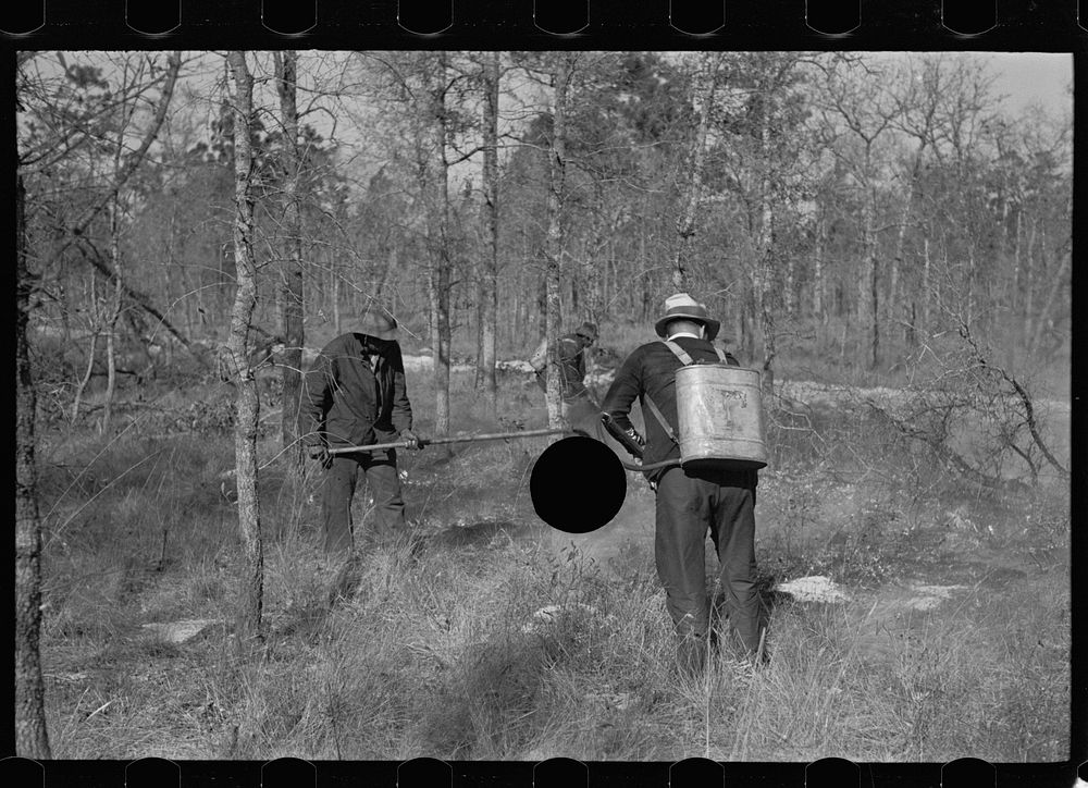 [Untitled photo, possibly related to: Putting out a small forest fire, Withlacoochee Land Use Project, Florida]. Sourced…