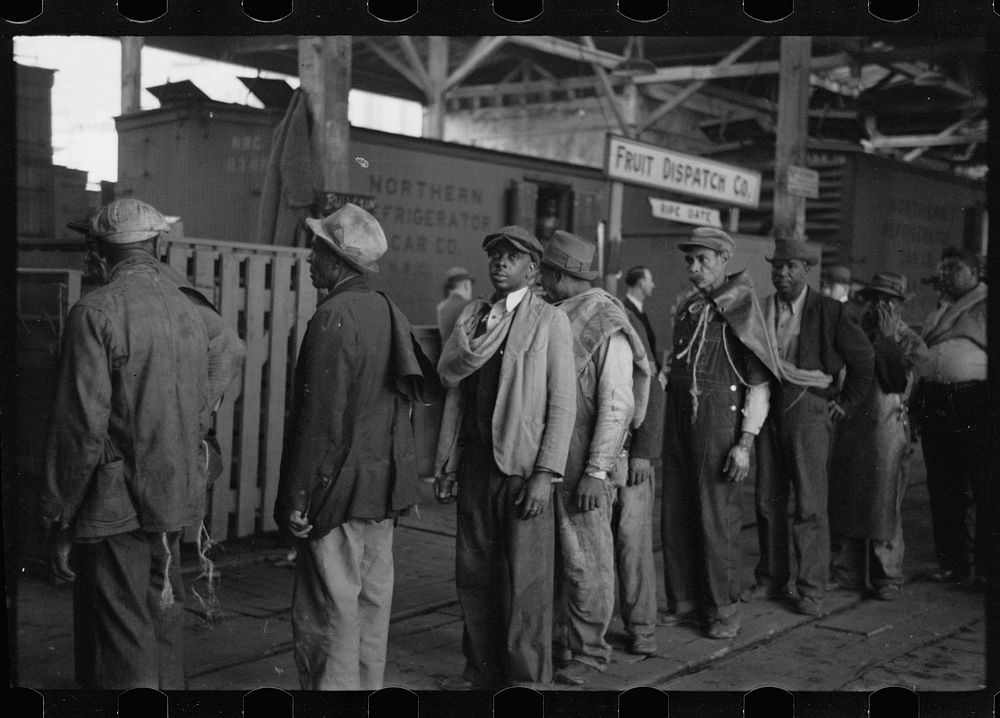 [Untitled photo, possibly related to: Unloading bananas on the dock, Mobile, Alabama]. Sourced from the Library of Congress.