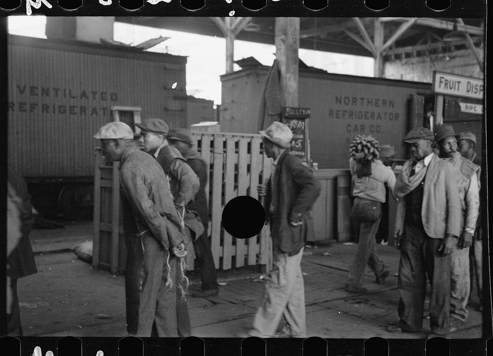 [Untitled photo, possibly related to: Loading bananas, Mobile, Alabama]. Sourced from the Library of Congress.