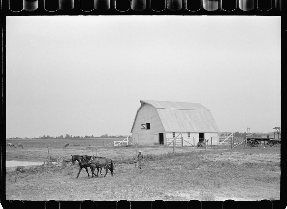 [Untitled photo, possibly related to: Part-time farmer who works in Loogootee with his family, Wabash Farms, Indiana].…
