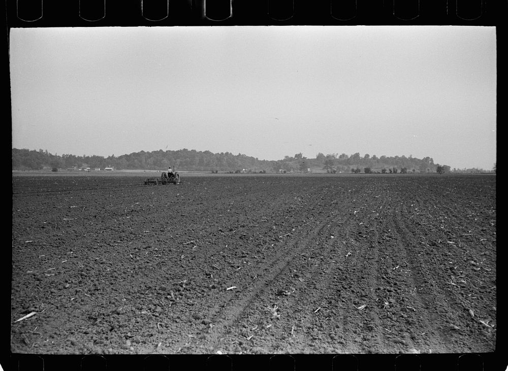 Large fields make tractor cultivation necessary. Wabash Farms, Indiana. Sourced from the Library of Congress.