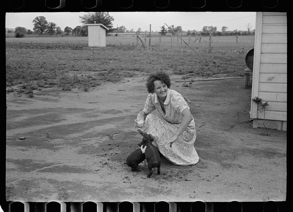 [Untitled photo, possibly related to: Feeding chickens, Wabash Farms, Indiana]. Sourced from the Library of Congress.
