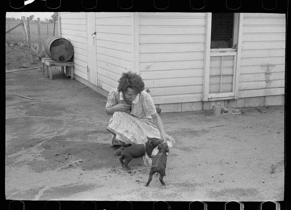 [Untitled photo, possibly related to: Feeding chickens, Wabash Farms, Indiana]. Sourced from the Library of Congress.